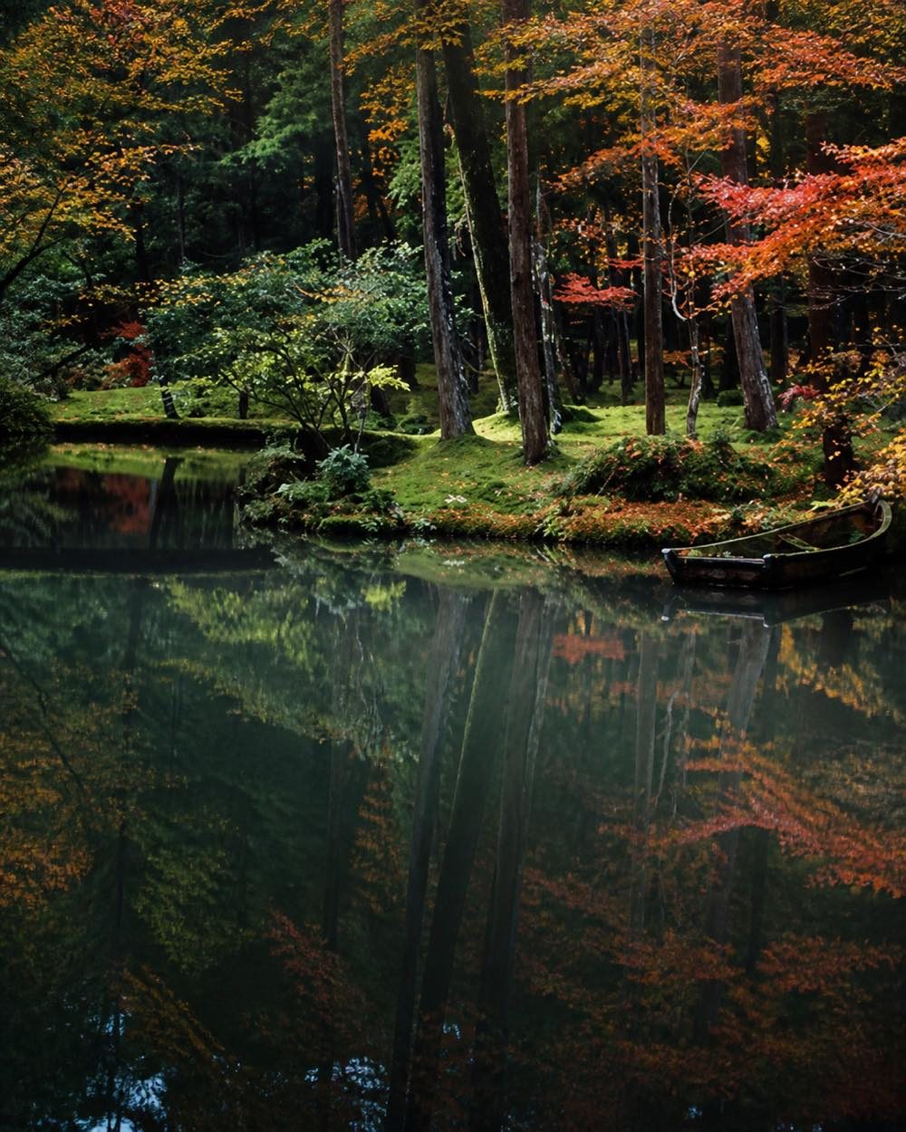 Jardin de mousse