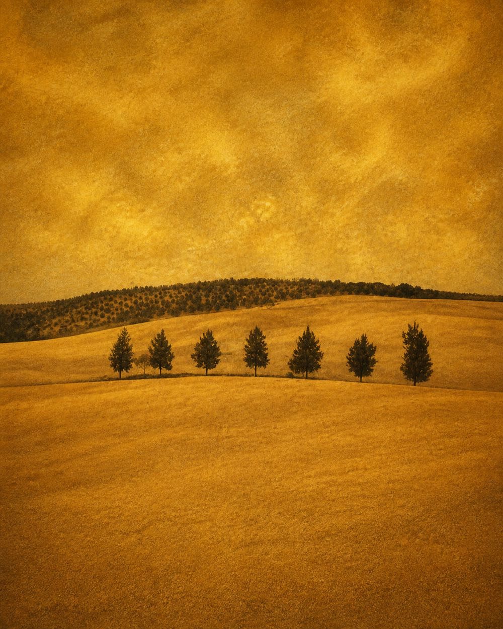 Collines d'or